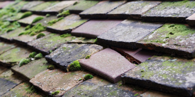 Stoke Green roof repair costs